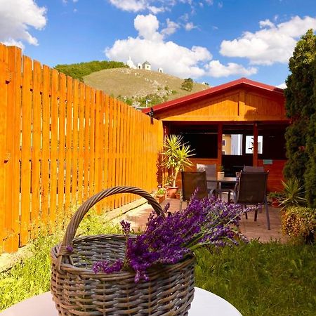Guesthouse Mikulas Mikulov - Free Parking In The City Center מראה חיצוני תמונה