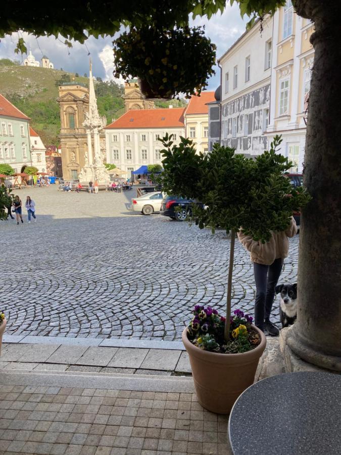 Guesthouse Mikulas Mikulov - Free Parking In The City Center מראה חיצוני תמונה