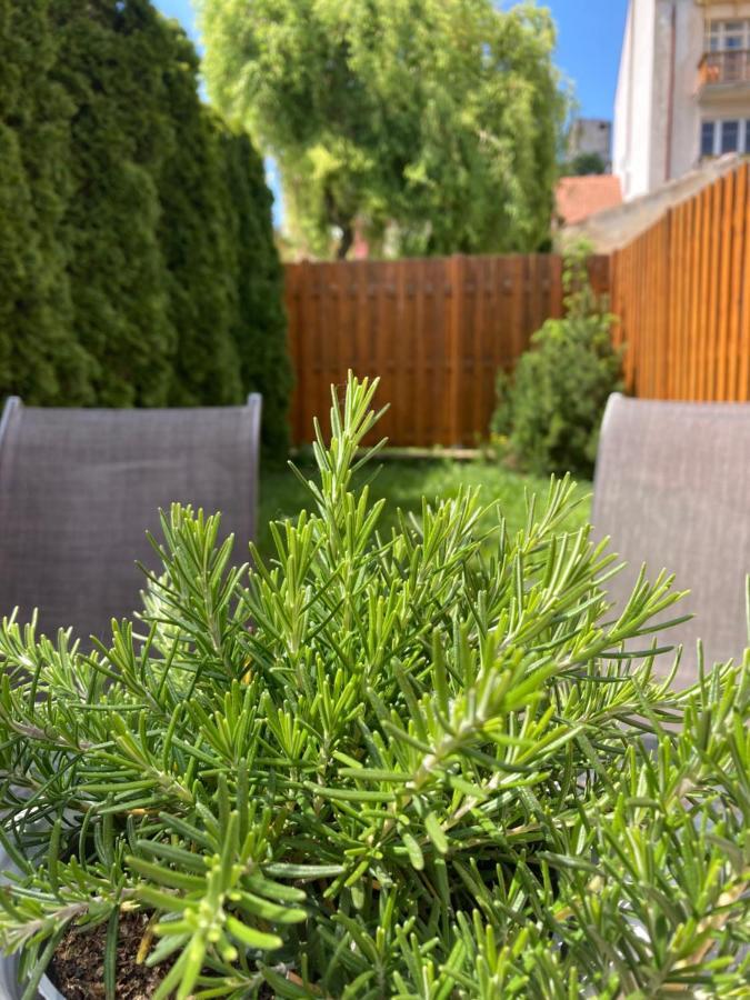 Guesthouse Mikulas Mikulov - Free Parking In The City Center מראה חיצוני תמונה