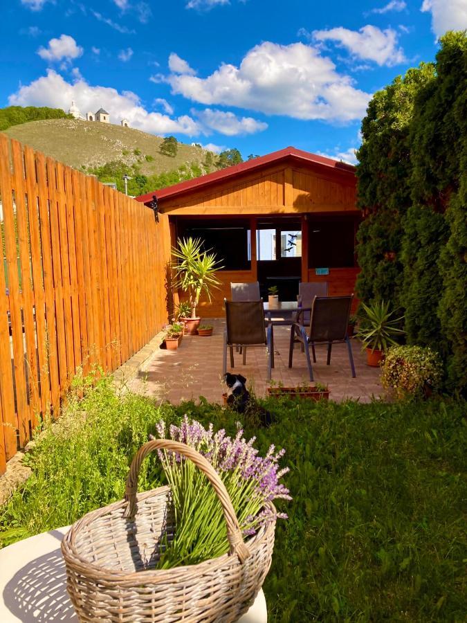 Guesthouse Mikulas Mikulov - Free Parking In The City Center מראה חיצוני תמונה